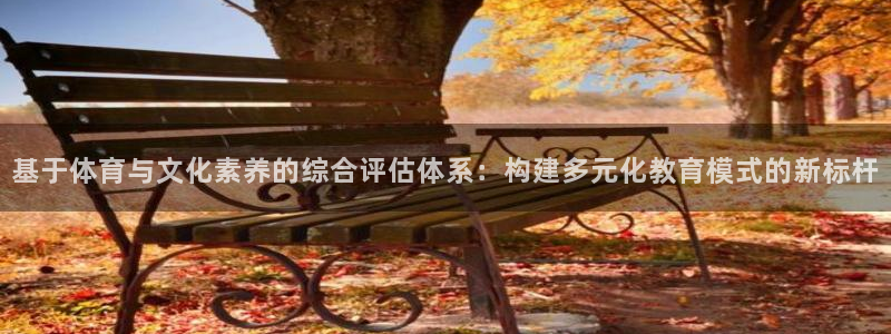 基于体育与文化素养的综合评估体系：构建多元化教育模式的新标杆
